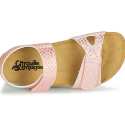 Citrouille et Compagnie - BELLI JOE