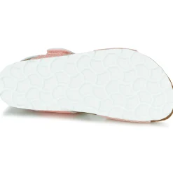 Citrouille et Compagnie - BELLI JOE