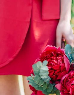 Céleste - CLEMENTINE