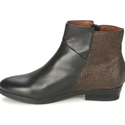 Coqueterra - PATRICE