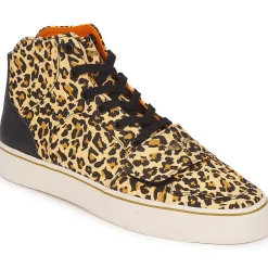 Creative Recreation - W CESARIO XVI M