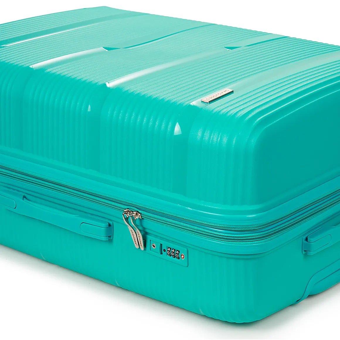 David Jones - BA-8003 103L LARGE