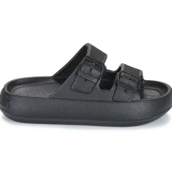 D.Franklin - 334 BLOOMER