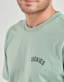 Dickies - DICKIES SNAKE SS TEE
