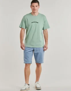 Dickies - GARYVILLE DENIM SHORT