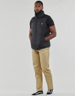 Dickies - WALDENBURG