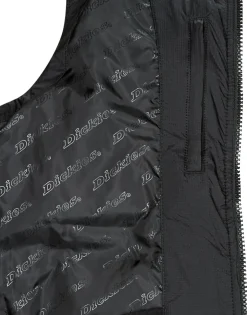 Dickies - WALDENBURG