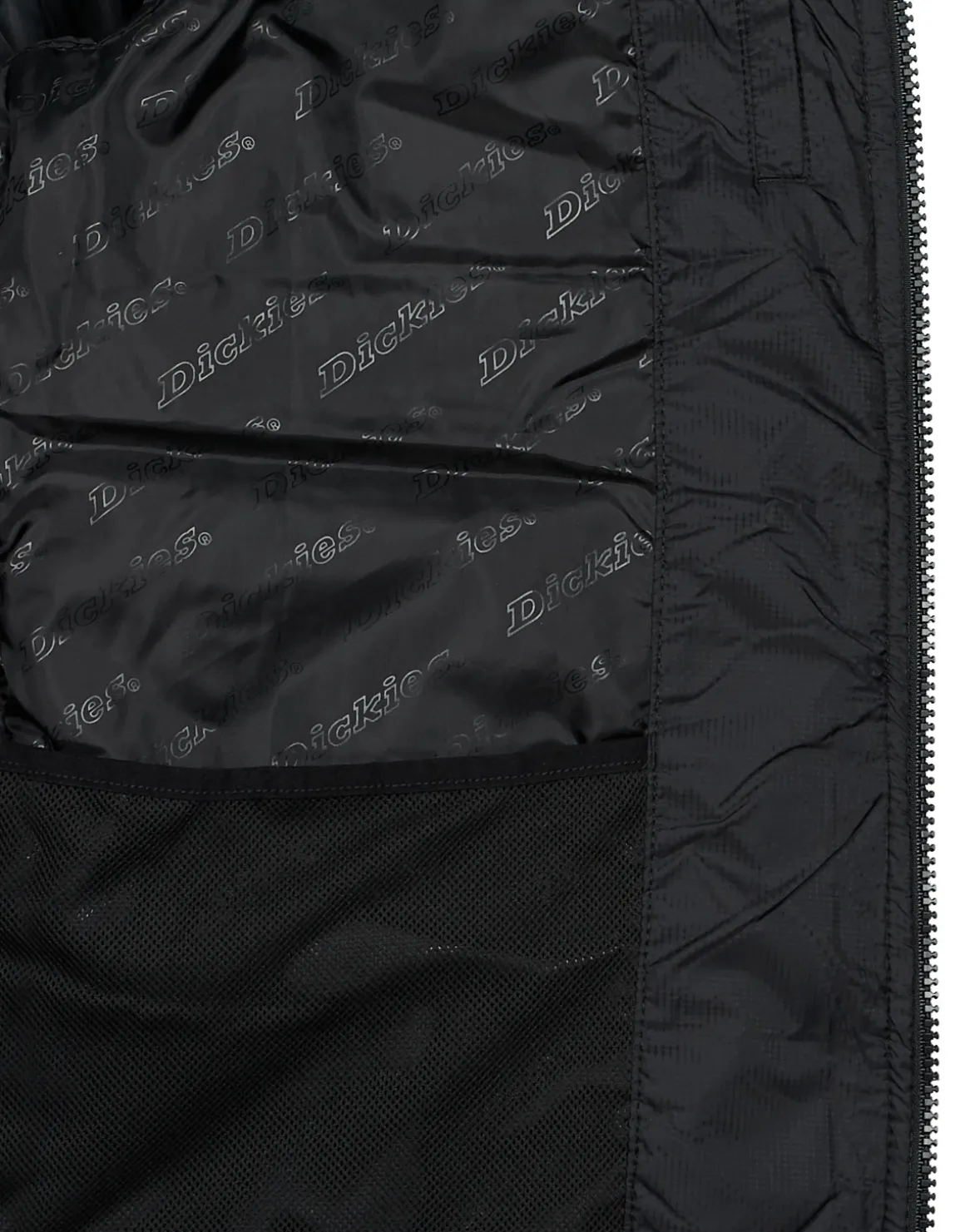 Dickies - WALDENBURG MID