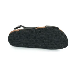 Dream in Green - AGASTACHE