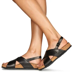 Dream in Green - AGASTACHE