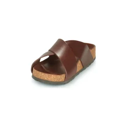 Dream in Green - AGAVE