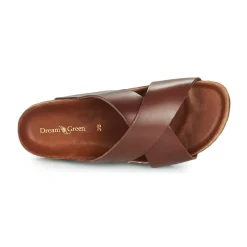 Dream in Green - AGAVE