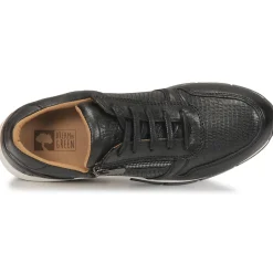 Dream in Green - ARTEMISIA