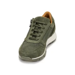 Dream in Green - ARTEMISIA