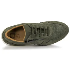 Dream in Green - ARTEMISIA