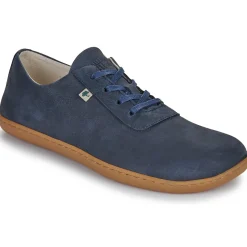 Dream in Green - BARIO