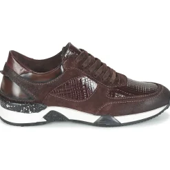 Dream in Green - FARRICA