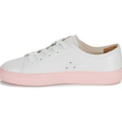 Dream in Green - JOBI