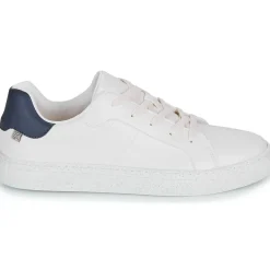 Dream in Green - JOBIO