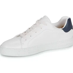 Dream in Green - JOBIO