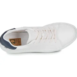 Dream in Green - JOBIO