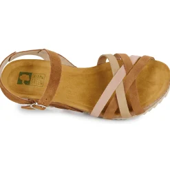 Dream in Green - LORA