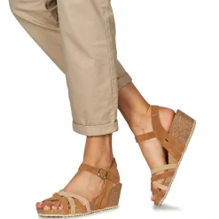 Dream in Green - LORA