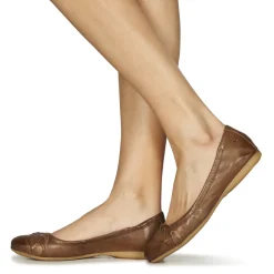 Dream in Green - NERLINGO