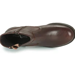 Dream in Green - NETISE