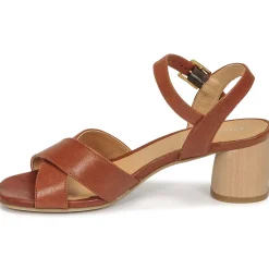 Dream in Green - ODAINE