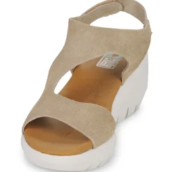 Dream in Green - OLENE