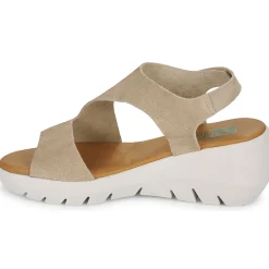 Dream in Green - OLENE