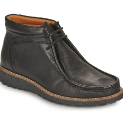 Dream in Green - OPHINA