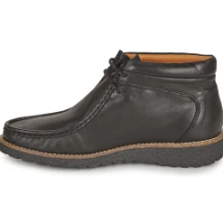 Dream in Green - OPHINA