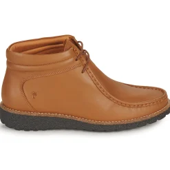 Dream in Green - OPHINA