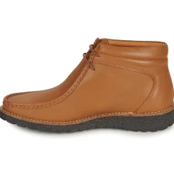 Dream in Green - OPHINA