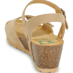 Dream in Green - PHILEAS