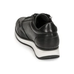 Dream in Green - PORTOVECCHIO