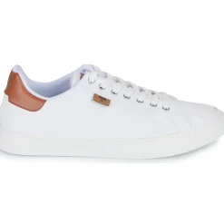 Dream in Green - SORPHIE