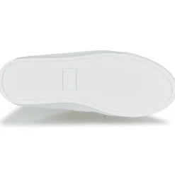 Dream in Green - SORPHIE