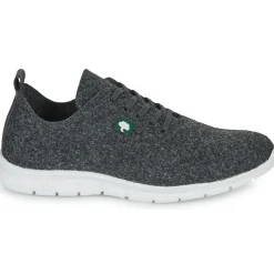 Dream in Green - SOTIS