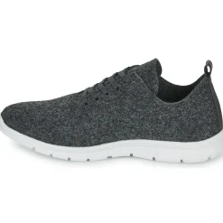 Dream in Green - SOTIS