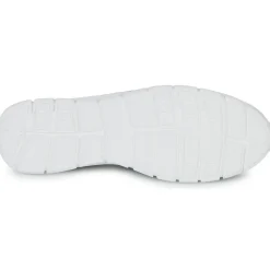 Dream in Green - SOTIS