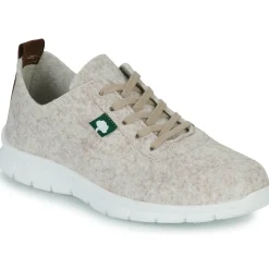 Dream in Green - SOTISE