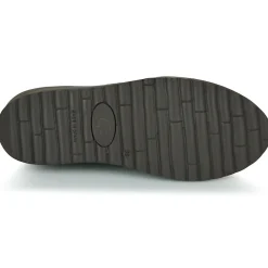 Dream in Green - SOULANE