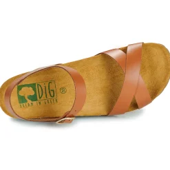 Dream in Green - TSILI