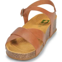 Dream in Green - TSILIA