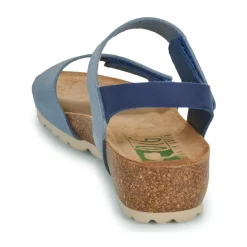 Dream in Green - ZAMINI