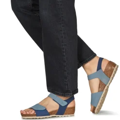 Dream in Green - ZAMINI