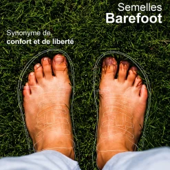 Dream in Green - ZAPHIRI